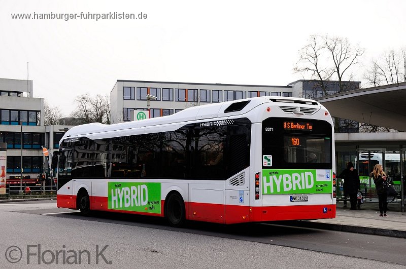 23) 8371-23,Jasper,FK.jpg